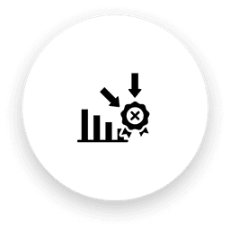 feature icon
